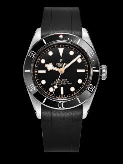 TD01 Black Curved End Rubber Straps for Tudor Black Bay 41MM - Image 12